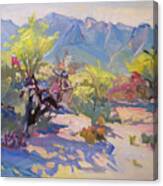 Desert Morning, Tucson Canvas Print