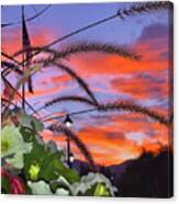 Desert Sunset Canvas Print