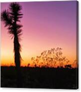 Desert Sunset Canvas Print