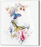 Detmold Flowers And Butterflies Canvas Print