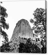 Devils Tower Black And White Base View Canvas Print