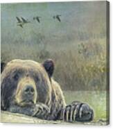 Does A Bear In The Woods Canvas Print