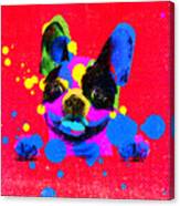 Dog Abstract Canvas Print