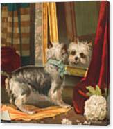 Dog Looking Into Mirror - Vintage Lithograph - 1888 Canvas Print