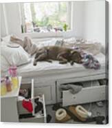 Dog Lying On Bed In Teenagers Messy Bedroom Canvas Print