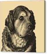 Dog Portrait Canvas Print
