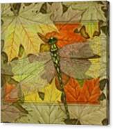 Dragonfly Fall Canvas Print