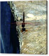 Dragonfly-poolside-limassol-cyprus Canvas Print