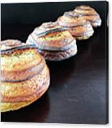 Dramatic Spiral Sourdough Quartet 1 Canvas Print