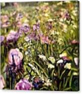 Dreaded Irises Canvas Print