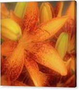 Dreamy Orange Sensation Lily Canvas Print