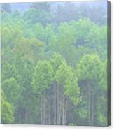 Dreamy Smoky Mountains Trees Canvas Print