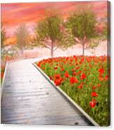 Dreamy Walk In Poppies Canvas Print