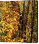 Dressed For Autumn Canvas Print
