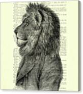 Dressed Up Lion, Wildlife Animal Portrait Canvas Print