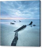 Driftwood And Sand Canvas Print