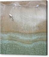 Drone Aerial Of White Dog Running And Playing At Empty Sandy Beach Canvas Print