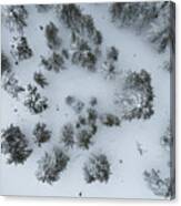 Drone Aerial Scenery Of Mountain Snowy Forest And People Playing In Snow. Wintertime Season Canvas Print