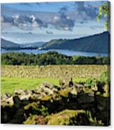 Drystone Fences In Morning Light Near Troutbeck Overlooking Wind Canvas Print