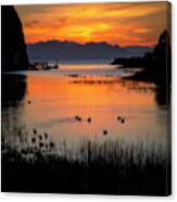 Ducks At Sunrise, San Pablo Bay Canvas Print