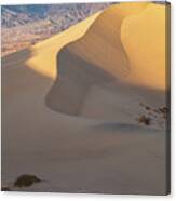 Dune Canvas Print