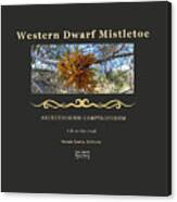 Dwarf Mistletoe Canvas Print
