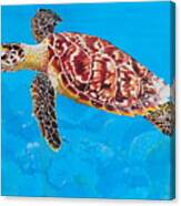 Ea Hawksbill Turtle Canvas Print