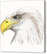 Eagle #1 Canvas Print