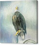 Eagle 2 Canvas Print