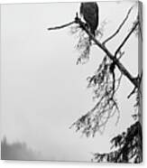 Eagle Black And White Canvas Print