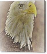 Eagle2 Canvas Print