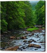 Early Morning Cranberry River Canvas Print