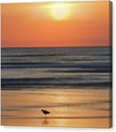 Early Morning On The Beach Canvas Print