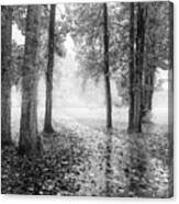 Early Morning Walk Black And White Canvas Print