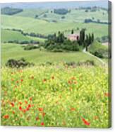 Early Summer In The Val D'orcia, Tuscany, Italy Canvas Print