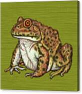 East Asian Bullfrog Canvas Print