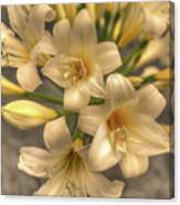 Easter Lily Canvas Print