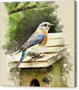 Eastern Bluebird Watercolor Art Canvas Print