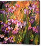 Echinecea Purple Coneflower By Ginette Canvas Print