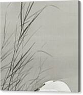 Egrets In A Swamp Canvas Print