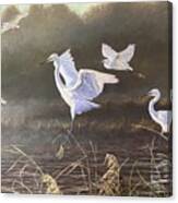 Egrets On The Everglade Canvas Print