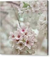 Elegant, Delicate, And Dainty Canvas Print