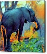 Elephant Dawn Canvas Print