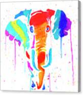 Elephant Drip Art Canvas Print