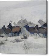 Elk Migration, 2019 Canvas Print