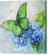 Emerald Butterfly Canvas Print