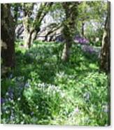 Enchanted Bluebell Woodland Canvas Print