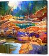 Enchanted Creek Canvas Print