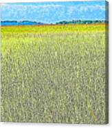 Endless Seagrass Of Savannah Canvas Print