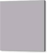 Light Pastel Grey - Gray Solid Color Pairs To Sherwin Williams